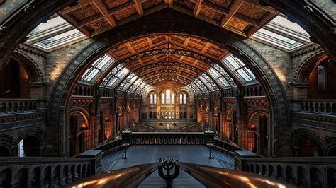 HD wallpaper: Natural History Museum (London), architecture, built ...