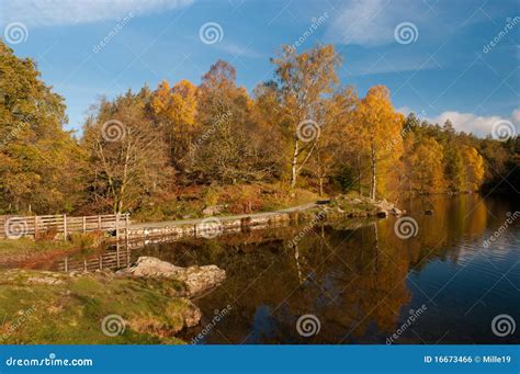 Tarn Hows Autumn colours stock photo. Image of cumbria - 16673466