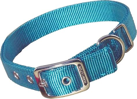 Amazon.com: Nylon Buckle Dog Collar