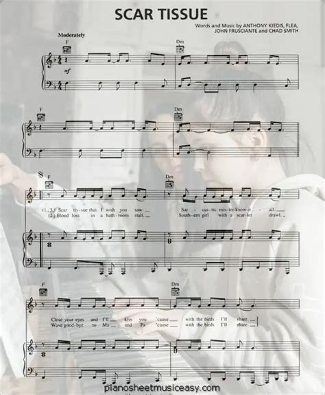 Scar tissue sheet music - D Minor Scale