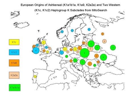 Dna genealogy, Genealogy research, Ashkenazi