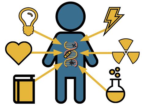 Epigenetics and Child Development: How Children’s Experiences Affect ...