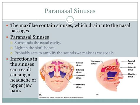 Infection in jaw bone antibiotics