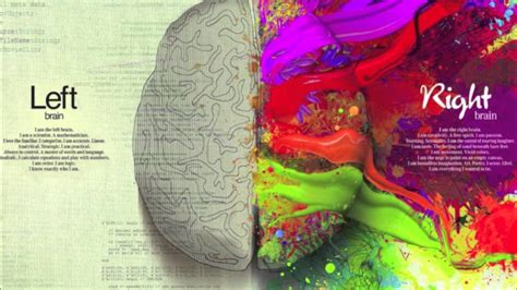 Brain Wallpaper HD (67+ images)