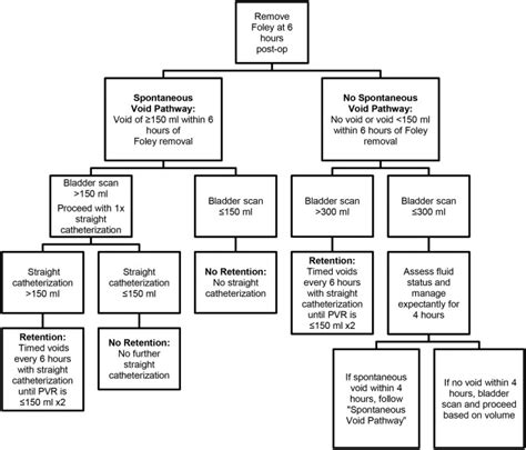 Implementation of a standardized voiding management protocol to reduce unnecessary re ...