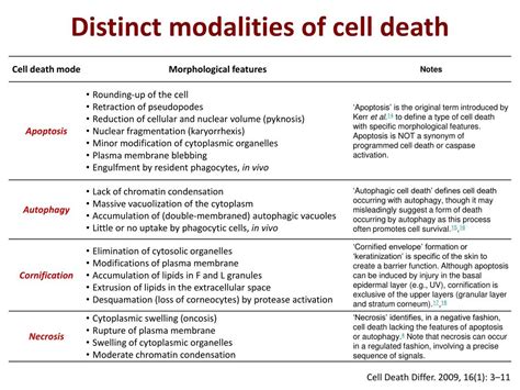 PPT - Mechanisms of Cell Death PowerPoint Presentation, free download ...