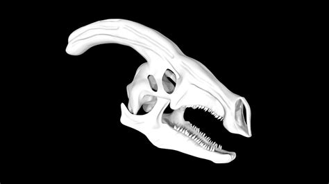 Parasaurolophus skull 3d model Low Poly AR 3d model - Team 3d Yard