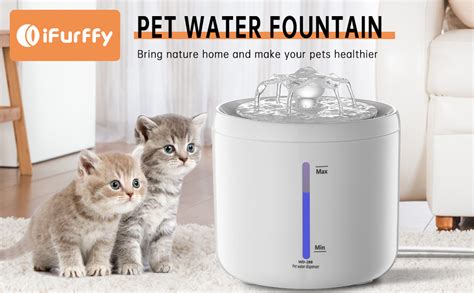 Cat Water Fountain: Caring for Your Feline's Health