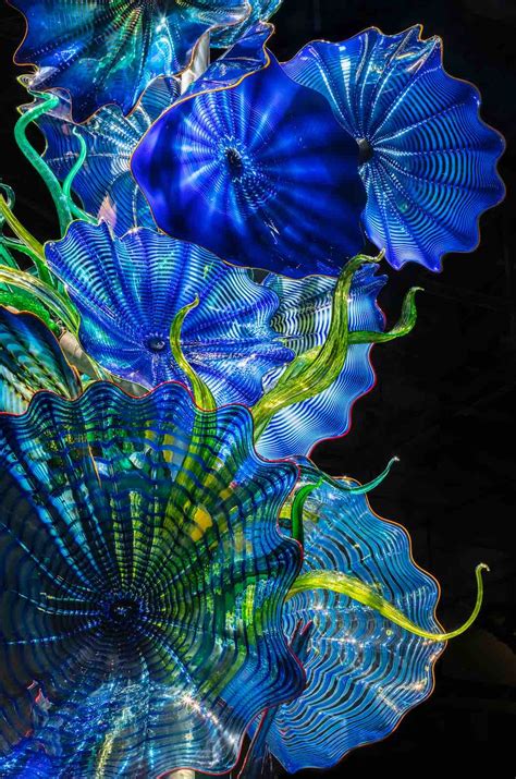 Dale Chihuly Glass In Bloom - First Major Garden Exhibition In Singapore