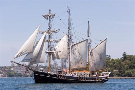 Sydney Harbour Tall Ship Afternoon Discovery Cruise: Triphobo