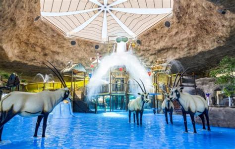 Desert Falls Water and Adventure Park Special Midweek Offer