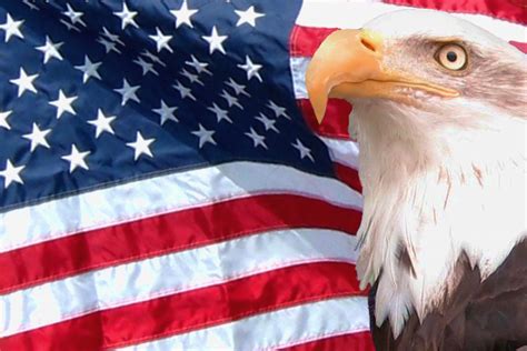 Patriotic Eagle Wallpapers (61+ images)