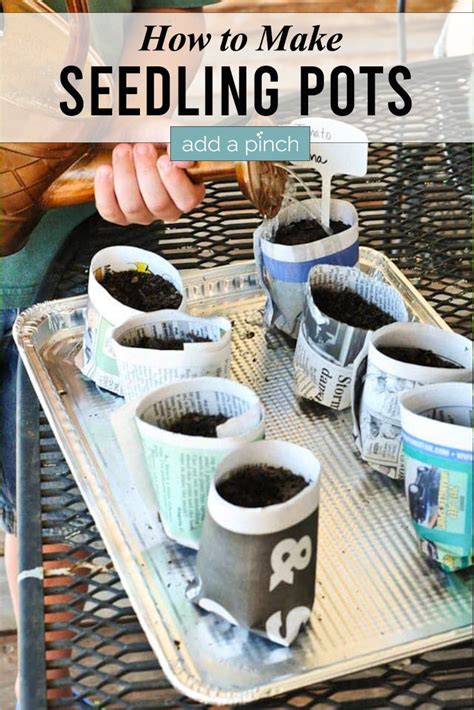 How to Make Your Own Seedling Pots - Add a Pinch