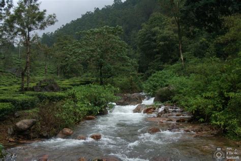 Valparai - Hill Station