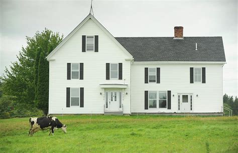 Daily Life On An Organic Dairy Farm Photograph by Brian Fitzgerald - Fine Art America