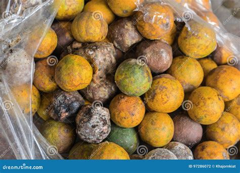 Rotten orange stock photo. Image of dirty, natural, orange - 97286072