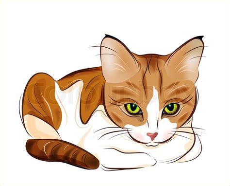 Hand drawn portrait of ginger tabby cat | Stock Vector | Colourbox