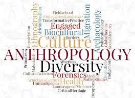 Introduction to Anthropology | Social science, Scientific method, Human behavior