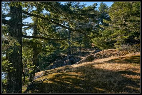 Hiking a Mountaintop Trail on Salt Spring Island