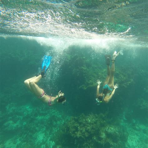 Snorkeling At Ocean Cay Marine Reserve Bahamas – DesertDivers