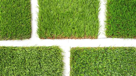 Fake Grass vs Real Grass — EcoGrass