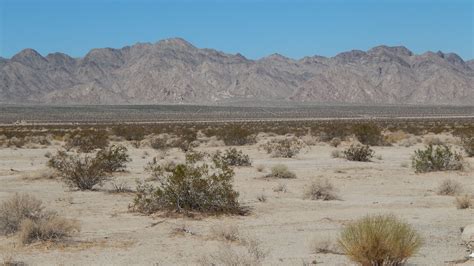 Mojave Desert | Us national parks, California desert, National parks