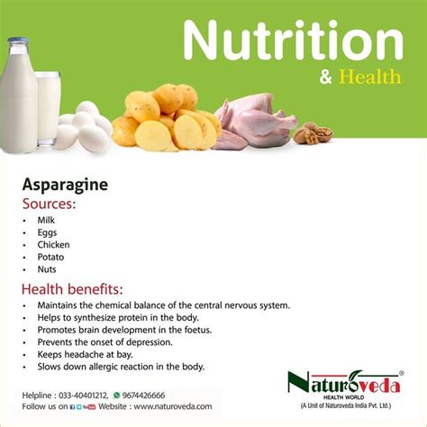 #Asparagine Sources and Health Benefits | Nuts health benefits, Health ...