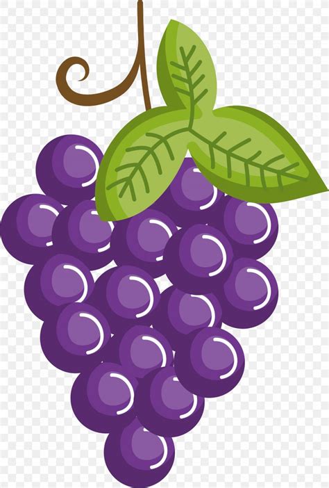 Grape Drawing Cartoon Fruit, PNG, 3001x4449px, Grape, Cartoon, Drawing, Flowering Plant, Food ...