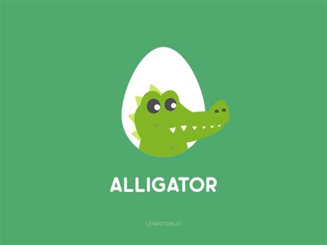 A for Alligator by Alex on Dribbble