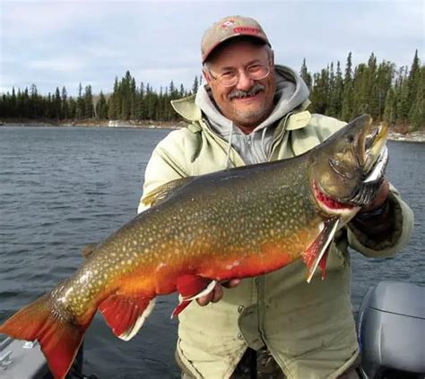 Brook Trout World Record and Various State Records – Troutster.com ...