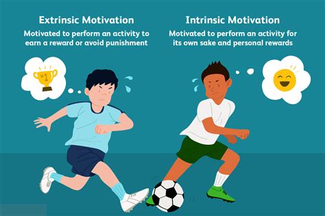 Extrinsic vs Intrinsic Motivation | Elite TSM – Vida Fitness