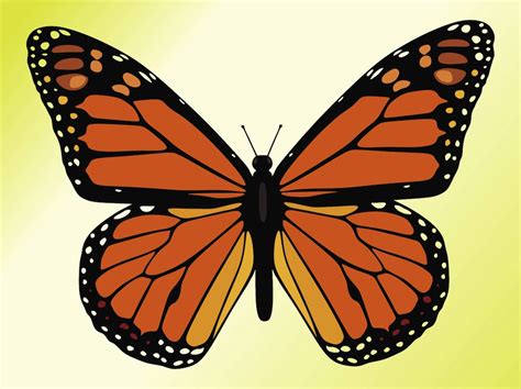 Monarch Butterfly Vector Art & Graphics | freevector.com