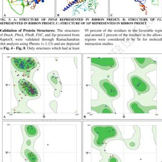 RAMACHANDRAN PLOT PREDICTION FOR STRUCTURE OF DNAA; A: GENERAL PLOT; B:... | Download Scientific ...