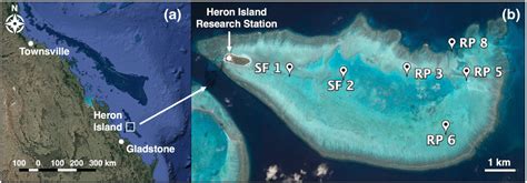 Map of (a) the southern GBR, showing the location of Heron Island in ...