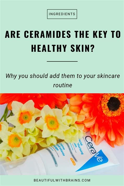 Ceramides For Skin: Benefits, Side Effects, How To Use Them– Beautiful ...