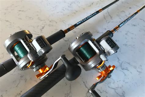 5 Best Trolling Rods for Trout: Our Top Picks • Fishing Duo