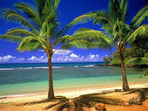 Tropical Beach Scenery Wallpapers - Top Free Tropical Beach Scenery Backgrounds - WallpaperAccess