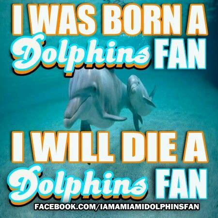 1000+ images about Miami Dolphins Funny on Pinterest | Miami dolphins, Keep calm and Kool aid