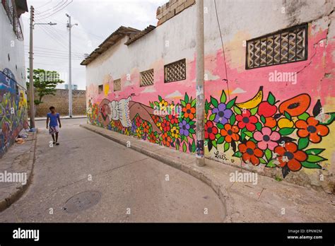 Arte en la calle (graffiti) en la zona de Getsemani de Cartagena, Colombia, Sur America ...