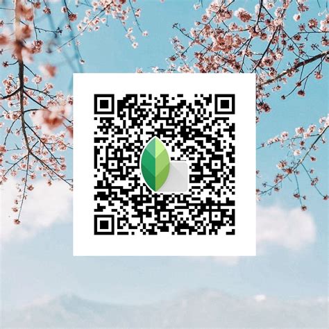 Snapseed Qr Codes Aesthetic - preset to multiple photos