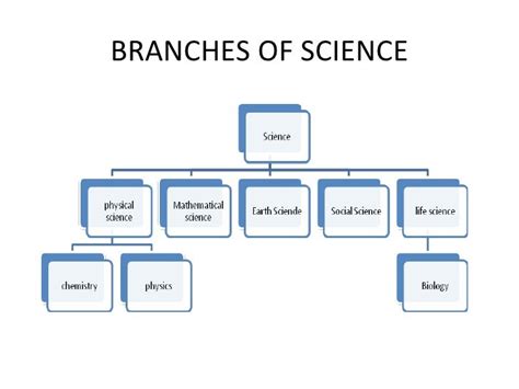 Branches of science