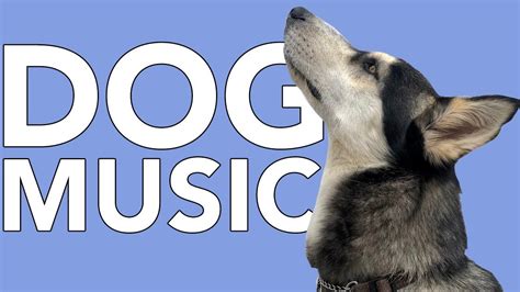 Dog Relaxation Sounds: The ULTIMATE Calming Music for Dogs! - YouTube