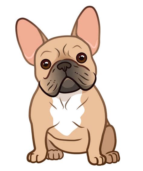 French Bulldog Illustrations, Royalty-Free Vector Graphics & Clip Art ...