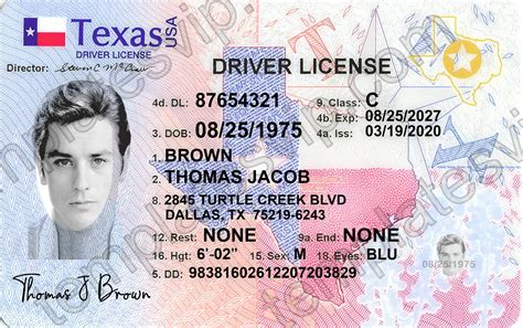 Texas (TX) – Driver’s License PSD Template Download 2022 – Templates ...