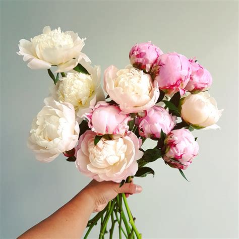 Gigantic Peony bouquet - Lou Flower Studio