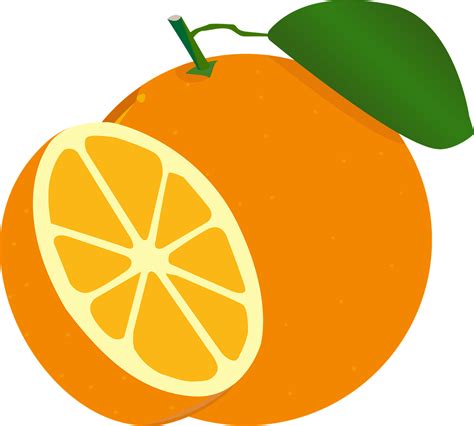 Orange Fruit Vector Png