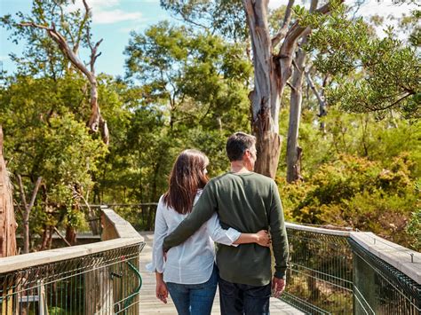 Koala Conservation Reserve, Attraction, Phillip Island, Victoria, Australia