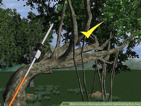 How to Use a Remington Electric Telescoping Pole Saw