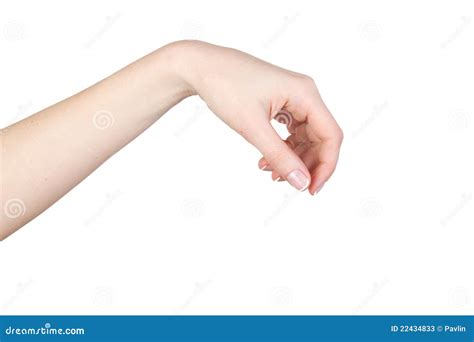 Hands holding something stock image. Image of business - 22434833