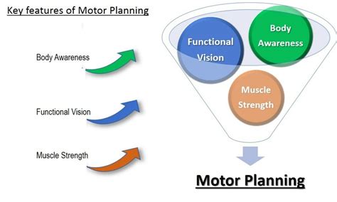 Motor Planning and Coordination — Dove Rehab Services